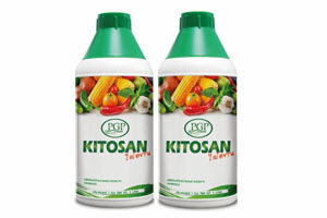 Chitosan ไคโตซาน เพิ่มผลผลิต และต้านทานโรคให้พืชผัก