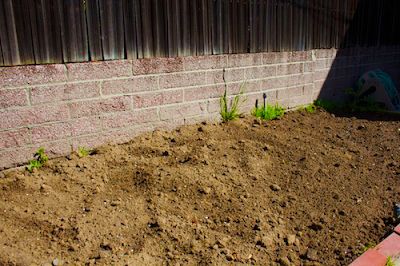 unstarted garden