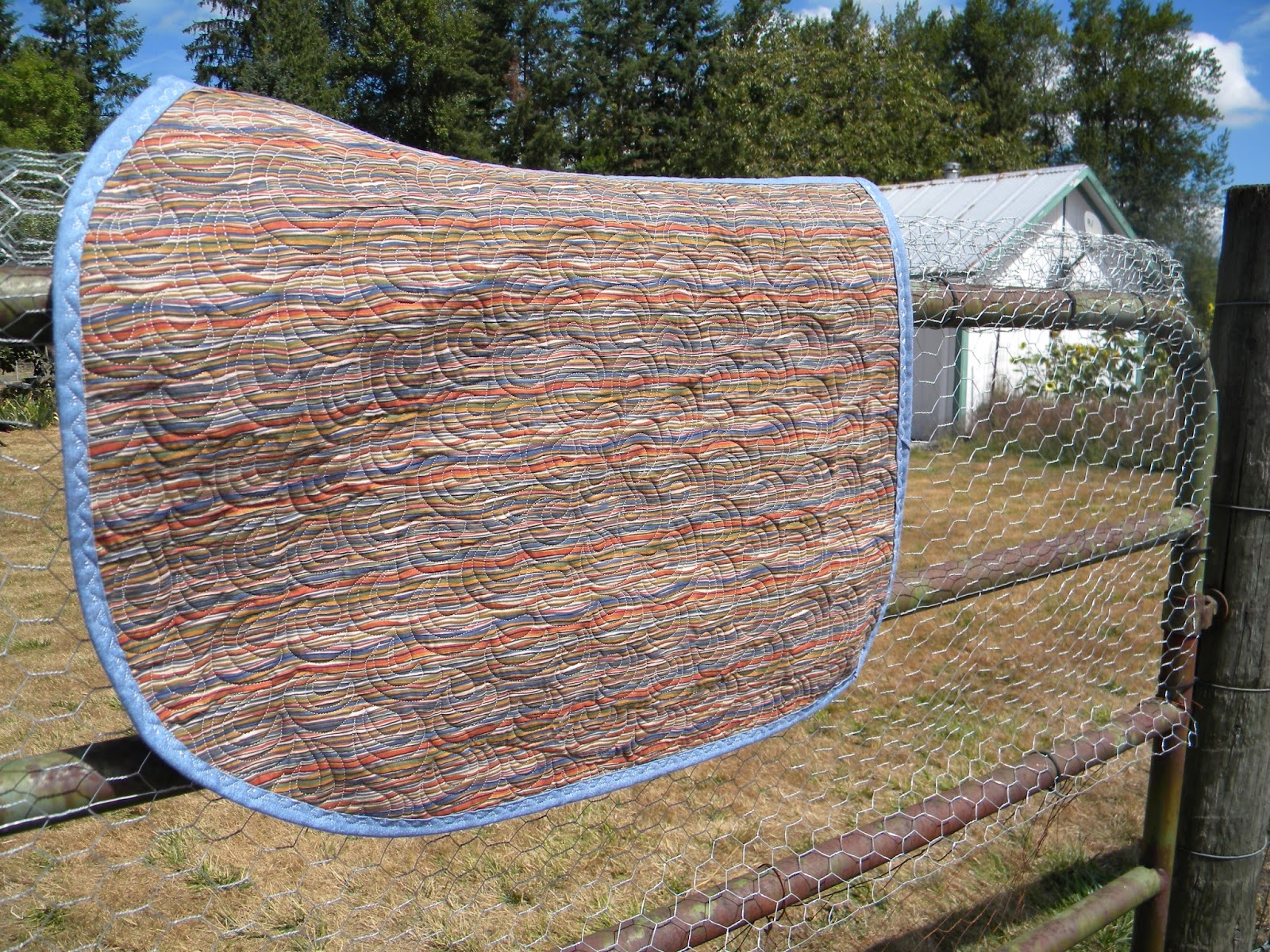 Quilting Magnified Saddle Pad in a Day