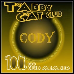 Tabby Cat Club