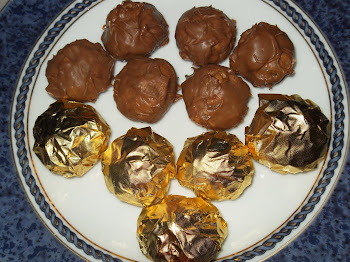 Kokies Bersalut Coklat/Chocolate Enrobed Cookies