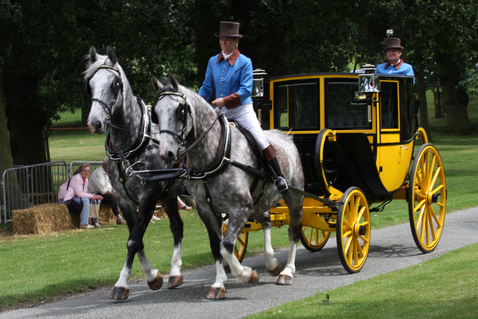 Historical Hearts History was written on the back of the horse.