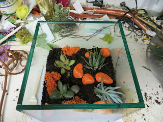 how to make a terrarium