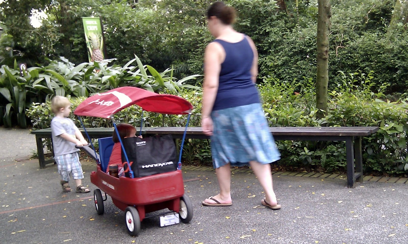 Singapore Chaps Singapore Zoo