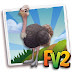 Gray Red Necked Ostrich ( Baby Adult Prized )