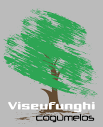 viseufunghi