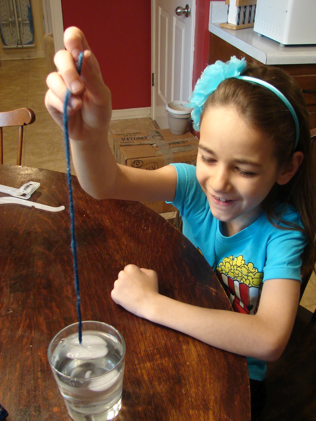 Amazing Science!: A Review