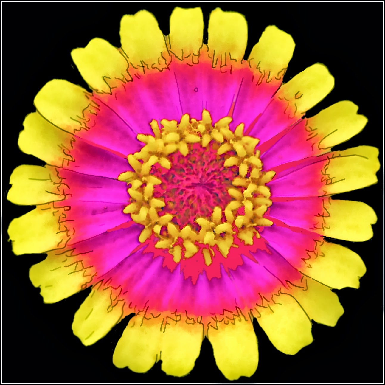 All This Is That Painting Zinnia