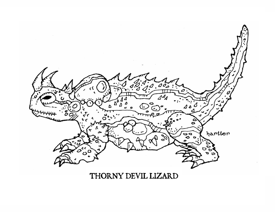 HARTTER: COLORING BOOK STILL AVAILABLE