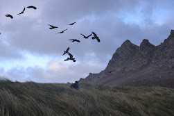 Storm approaching on Steeple Jason