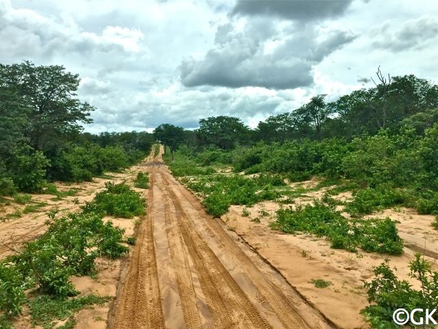 17.2.2017 Fahrt in den Chobe NP durch die Savuti Marsch zum Savuti Camp.
