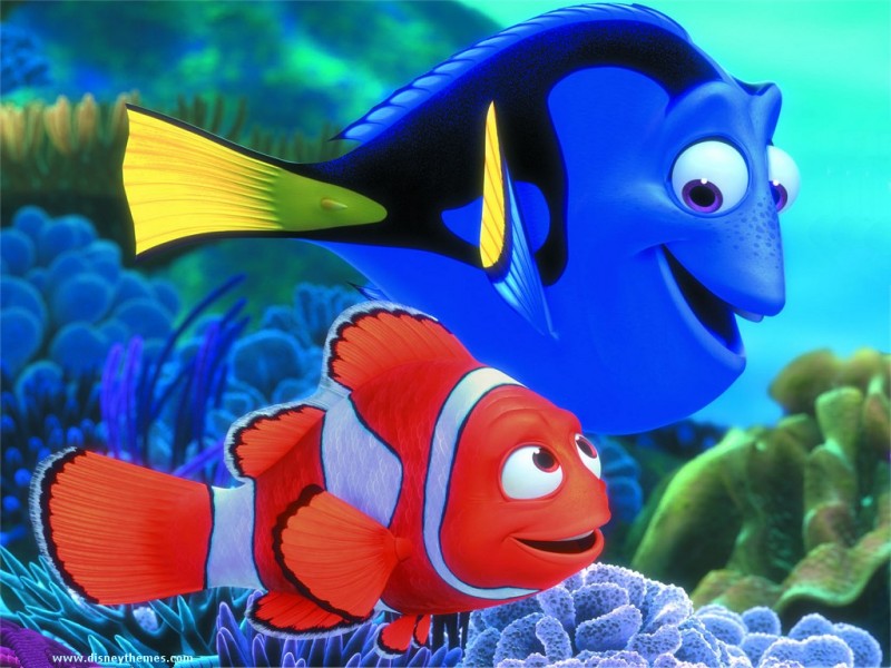 Finding Nemo 2 Titled Finding Dory, November 2015 Release Date | We ...