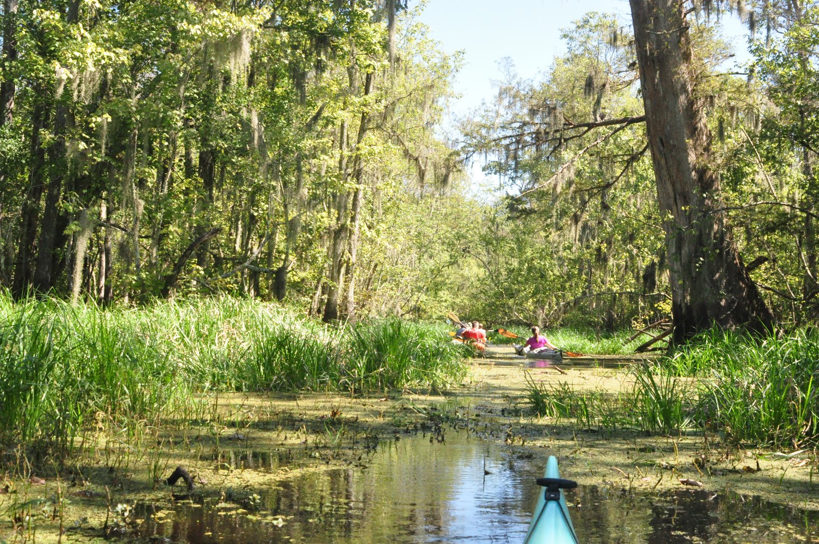 Southeastern Louisiana Paddling Paddling Blind RiverTwo Options