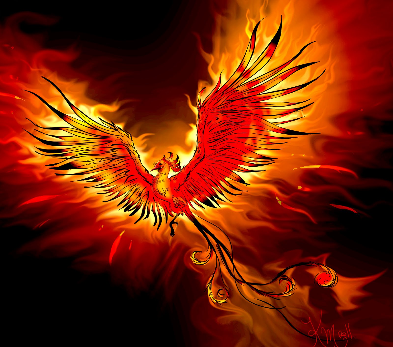 my fox phoenix my fox phoenix