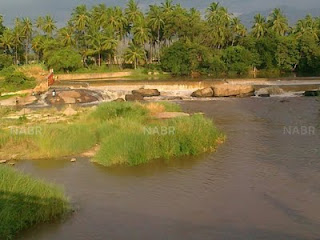 263935_208595649175966_176179869084211_4