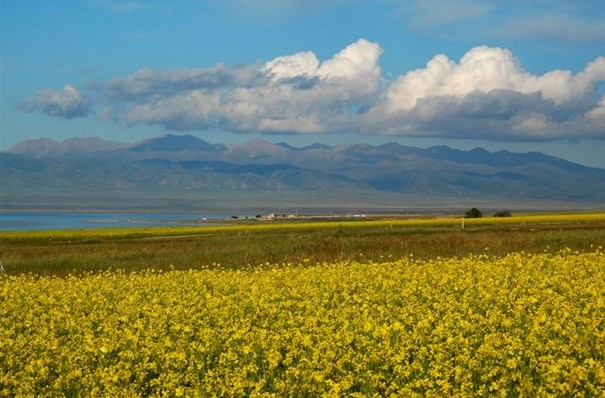 Tibet China - Beautiful Photos Seen On www.coolpicturegallery.us Tibet China - Beautiful Photos Seen On www.coolpicturegallery.us