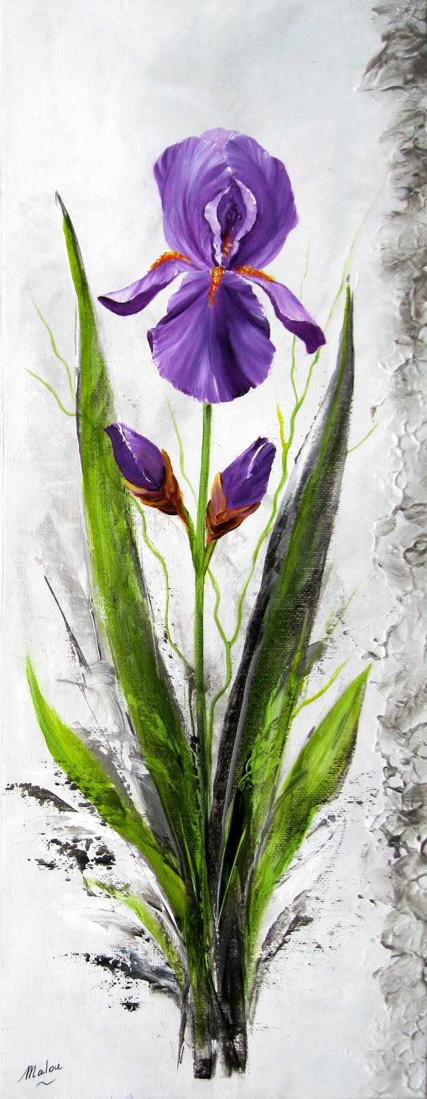 iris mauves