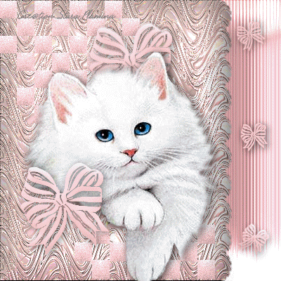 3D Gif Animations - Free download i love you images photo background  screensaver e-cards: Cats Glitter Photo Graphics Animated gifs free  pictures animals pets love Glitter gifs ecards clipart kitty love Cute