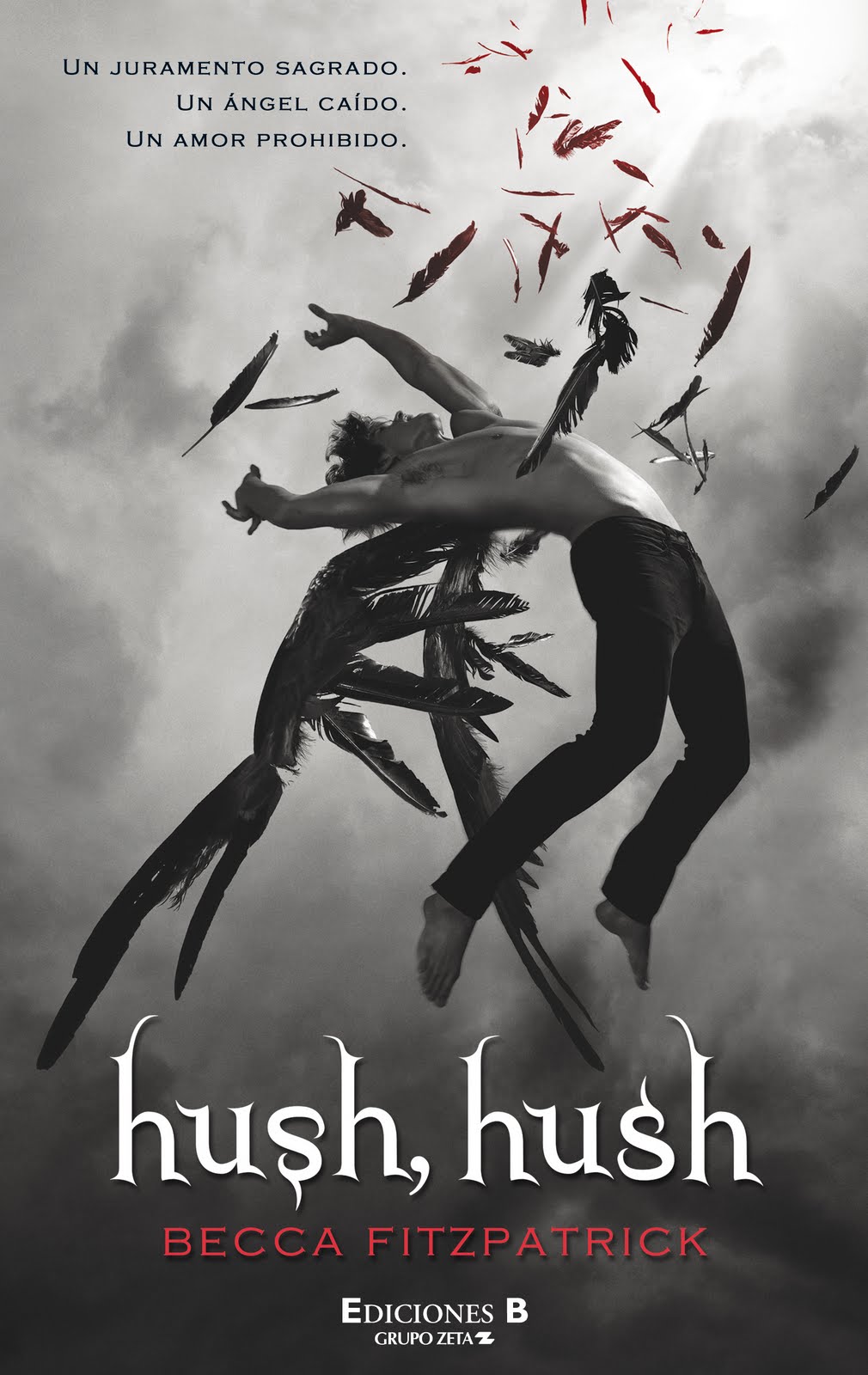 Words Are Just Words Anyway Resena De Hush Hush De Becca Fitzpatrick