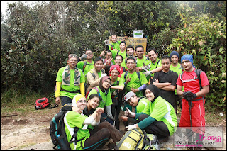 Mossy Forest - Gunung Irau Mossy Forest - Gunung Irau