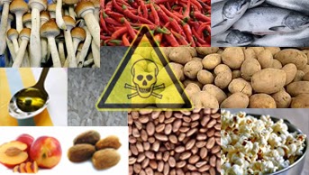 10 Bahan Makanan yang Ternyata Beracun