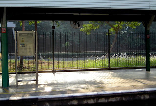 Afternoon sun ray reflects the beauty on train station platform