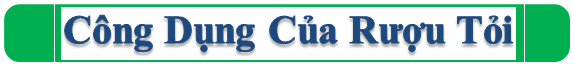 Công dụng rượu tỏi Công dụng rượu tỏi