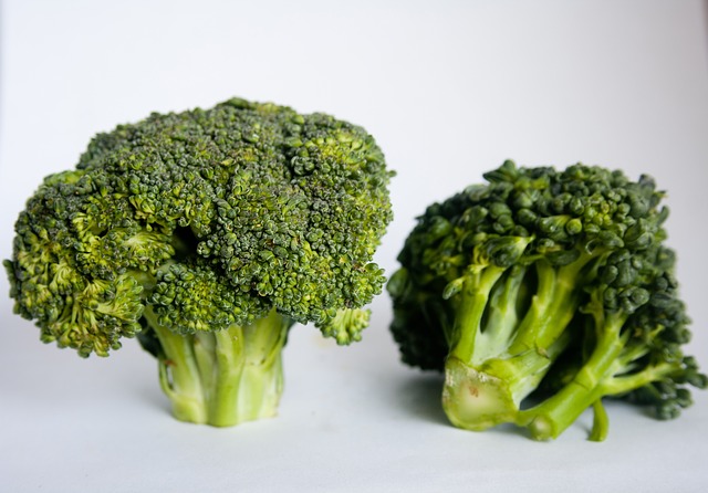 Brokoli Bisa Meningkatkan dan Menambahkan daya Ingat Otak