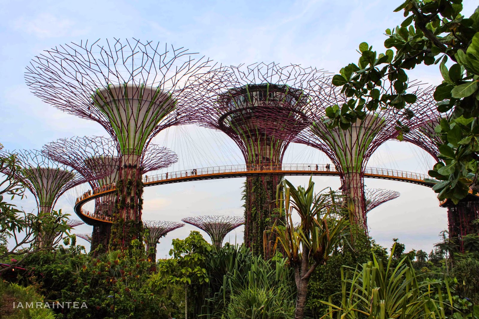 Garden By The Bay August 2014 i am raintea: gardensthe bay - conservatories Garden By The Bay August 2014 i am raintea: gardensthe bay - conservatories
