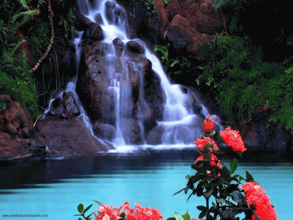 waterfall wallpaper for phone