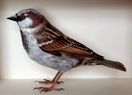 Burung Terbuat Dari Kertas