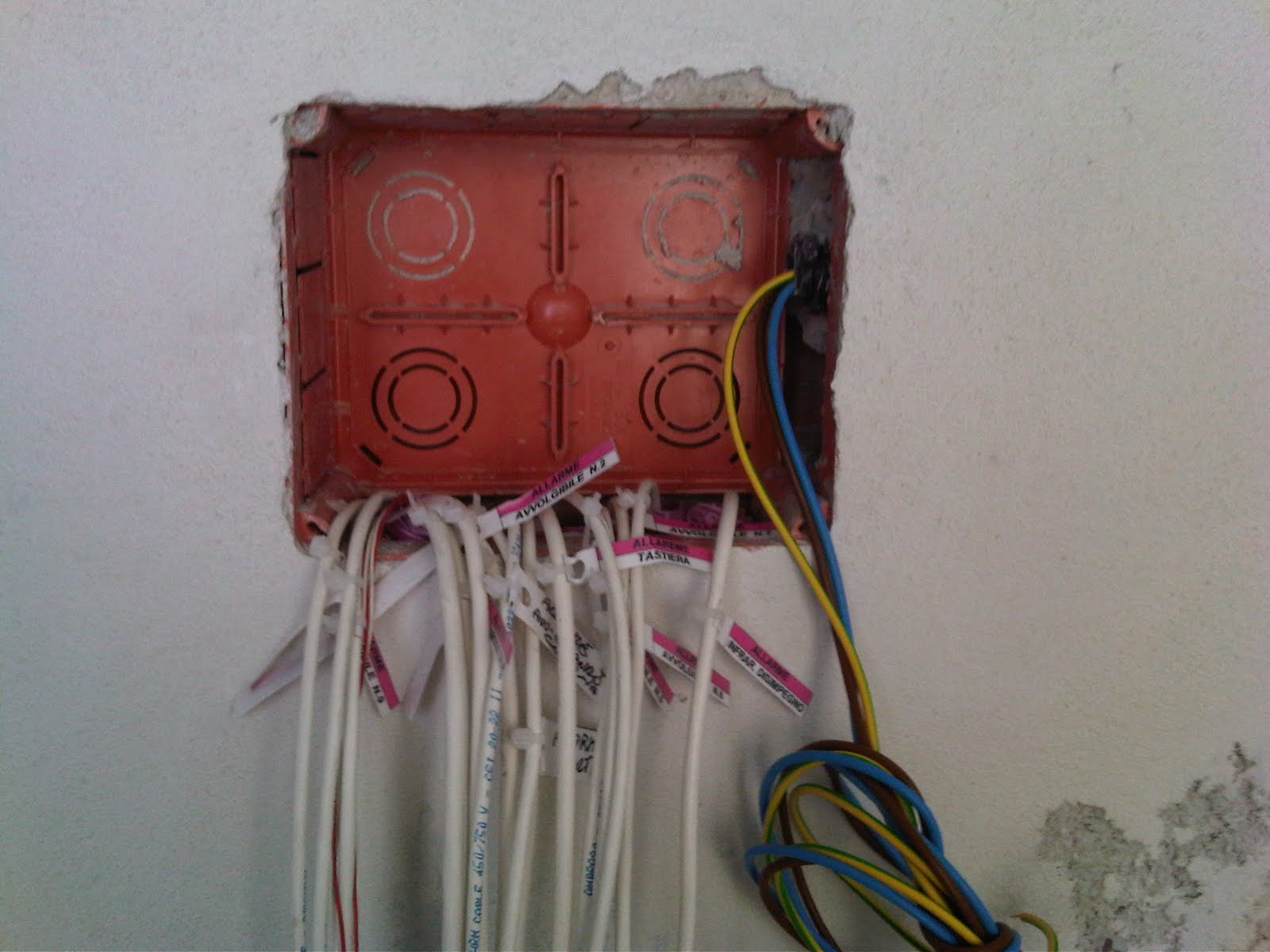 Impianti elettrici brogi livio: predisosizione centrale allarme Impianto allarme