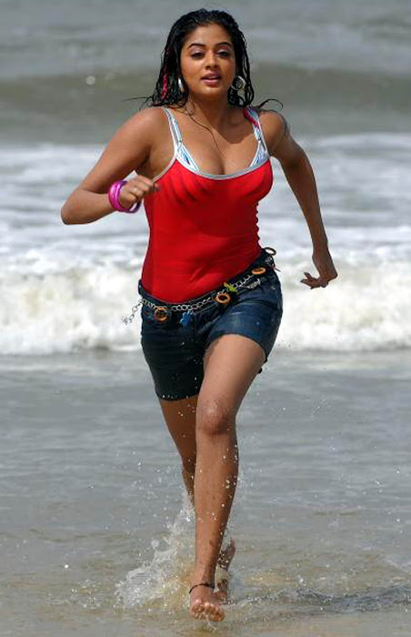 priyamani spicy in raaj movie actress pics