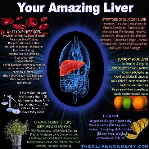 http://4.bp.blogspot.com/-lDiAwSDMpV0/UdLyOhvxU7I/AAAAAAAAA9g/ycyDMhc64OQ/s480/Infographic143.jpg