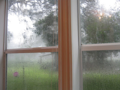 View out my sewing room window www.sewplus.blogspot.com
