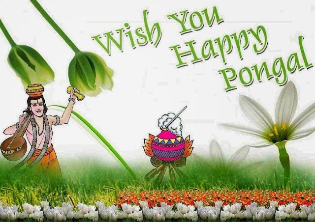 http://burnsnight2016.blogspot.in/2016/01/makar-sankranti-celebration-in-gujrat.html http://burnsnight2016.blogspot.in/2016/01/makar-sankranti-celebration-in-gujrat.html