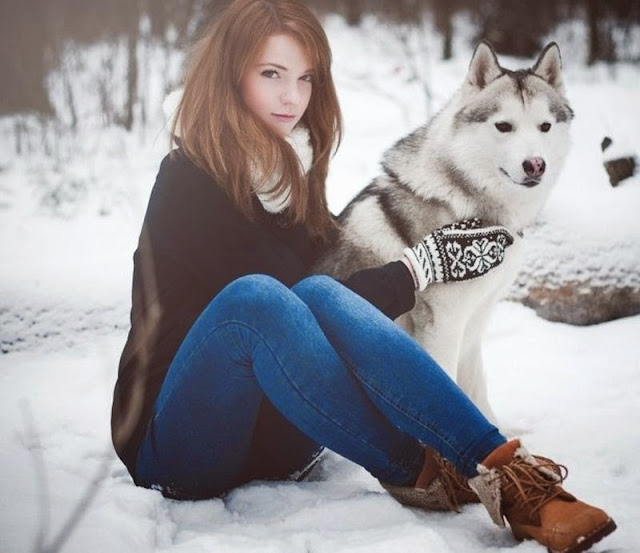 How to Care for a Husky How to Care for a Husky