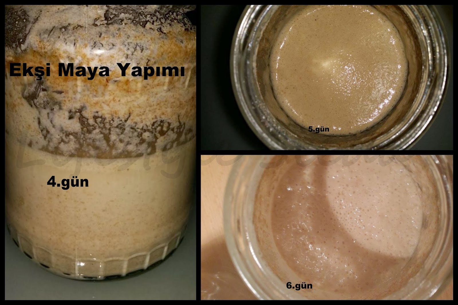 Doğal Maya Nasıl Yapılır Doğal Maya Nasıl Yapılır