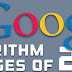 Google Algorithm Updates & Changes In 2011 - Infographic
