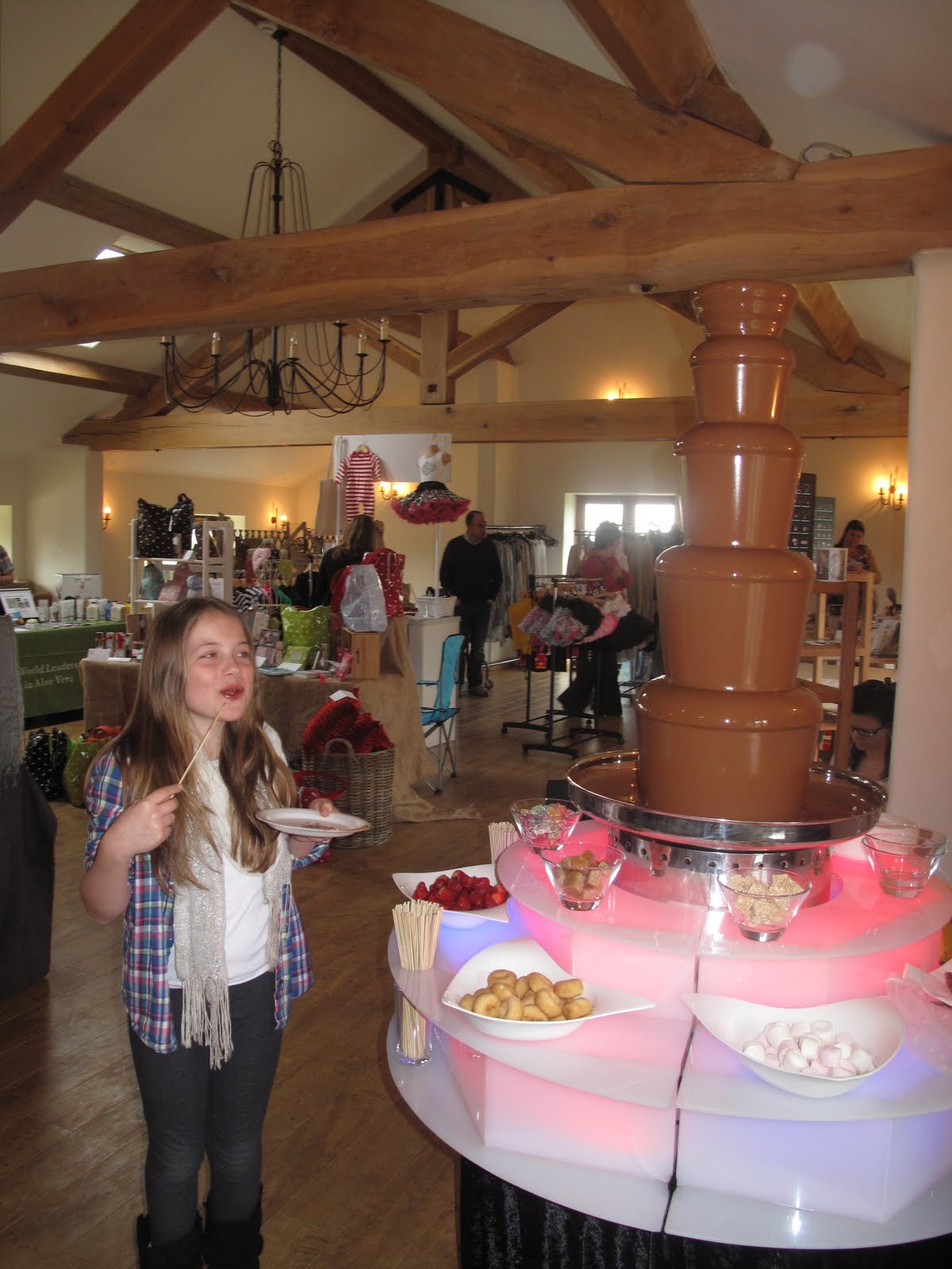 THE CHESHIRE DESIGN HOUSE: Craft Fair