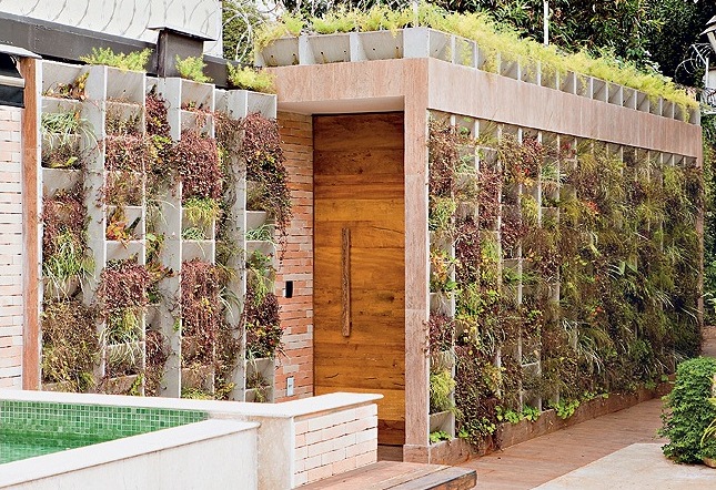 jardim vertical muro:Muro com nichos de concreto, são preenchidos com a planta ripsális e jardim vertical muro:Muro com nichos de concreto, são preenchidos com a planta ripsális e