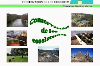 http://cplosangeles.juntaextremadura.net/web/edilim/curso_4/cmedio/el_ecosistema/la_conservacion/la_conservacion.html