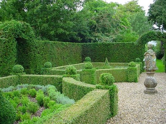 topiary+hedge+designs+gardening+live+plant+sculpture.jpg