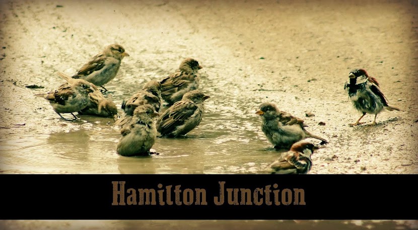 Hamilton Junction 