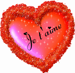 Les-sms-d-amour-en-français-27.gif (313×303)