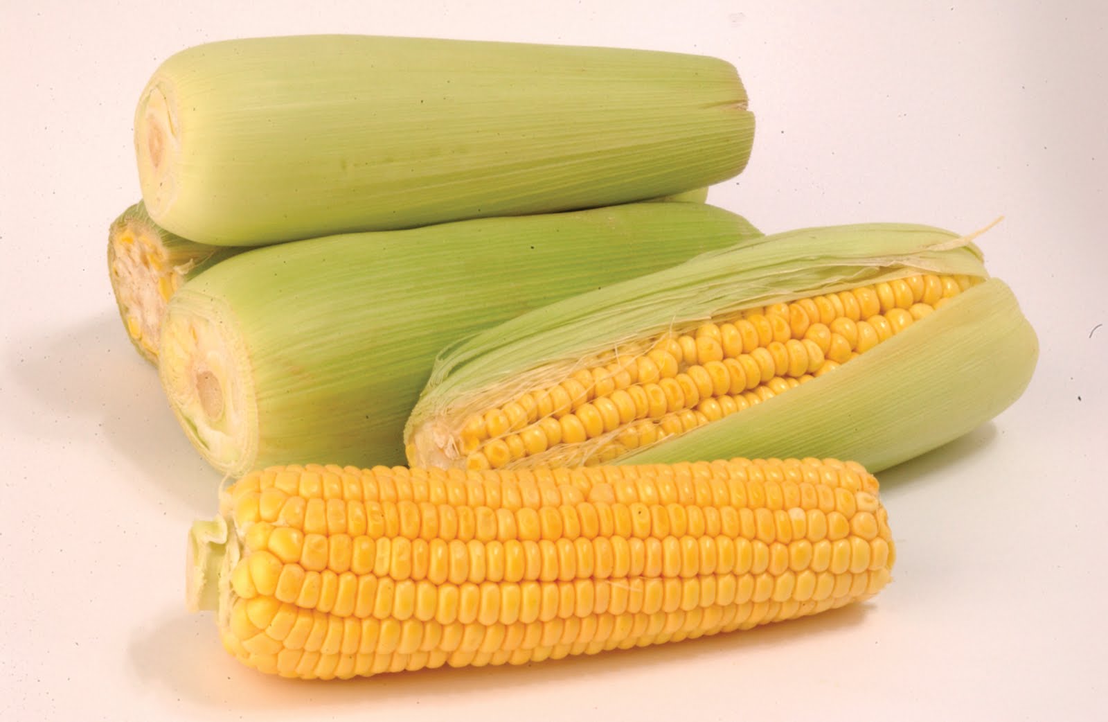 MANFAAT JAGUNG UNTUK KESEHATAN | Akbar El Hamed