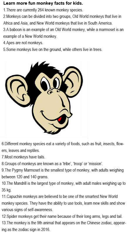 Facts about monkeys for kids