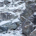 Can You Spot the Snow Leopards in These Photos?