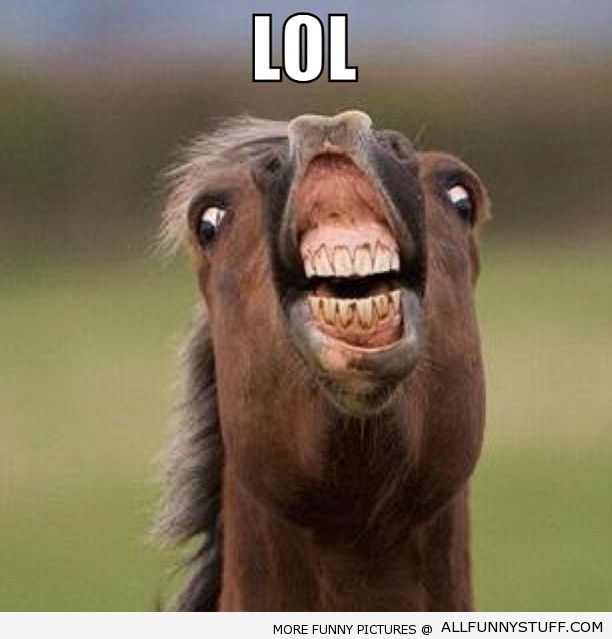 FUNNY LAUGHS funny laughs: