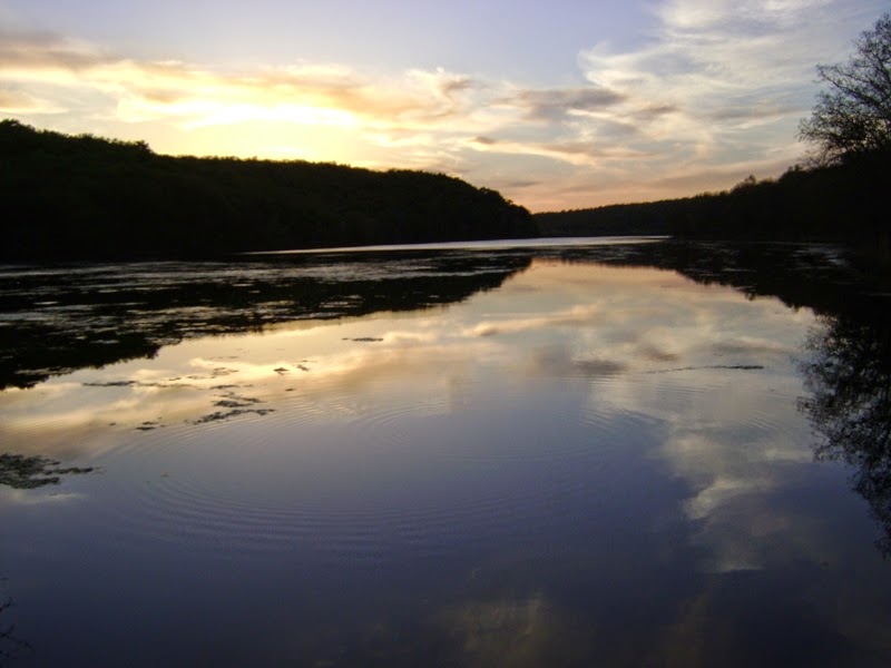 Let's Drink Coffee, Darling Greenleaf State Park (Muskogee, OK)